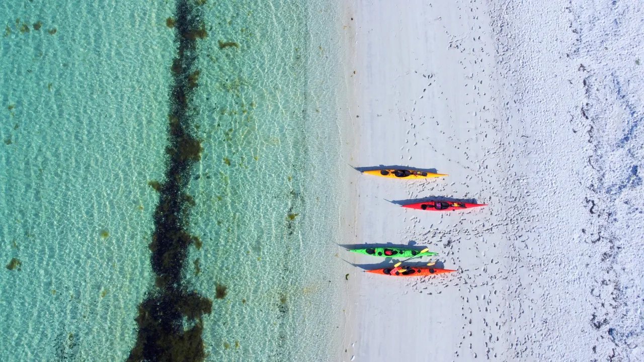 En gruppe kajakker på en strand